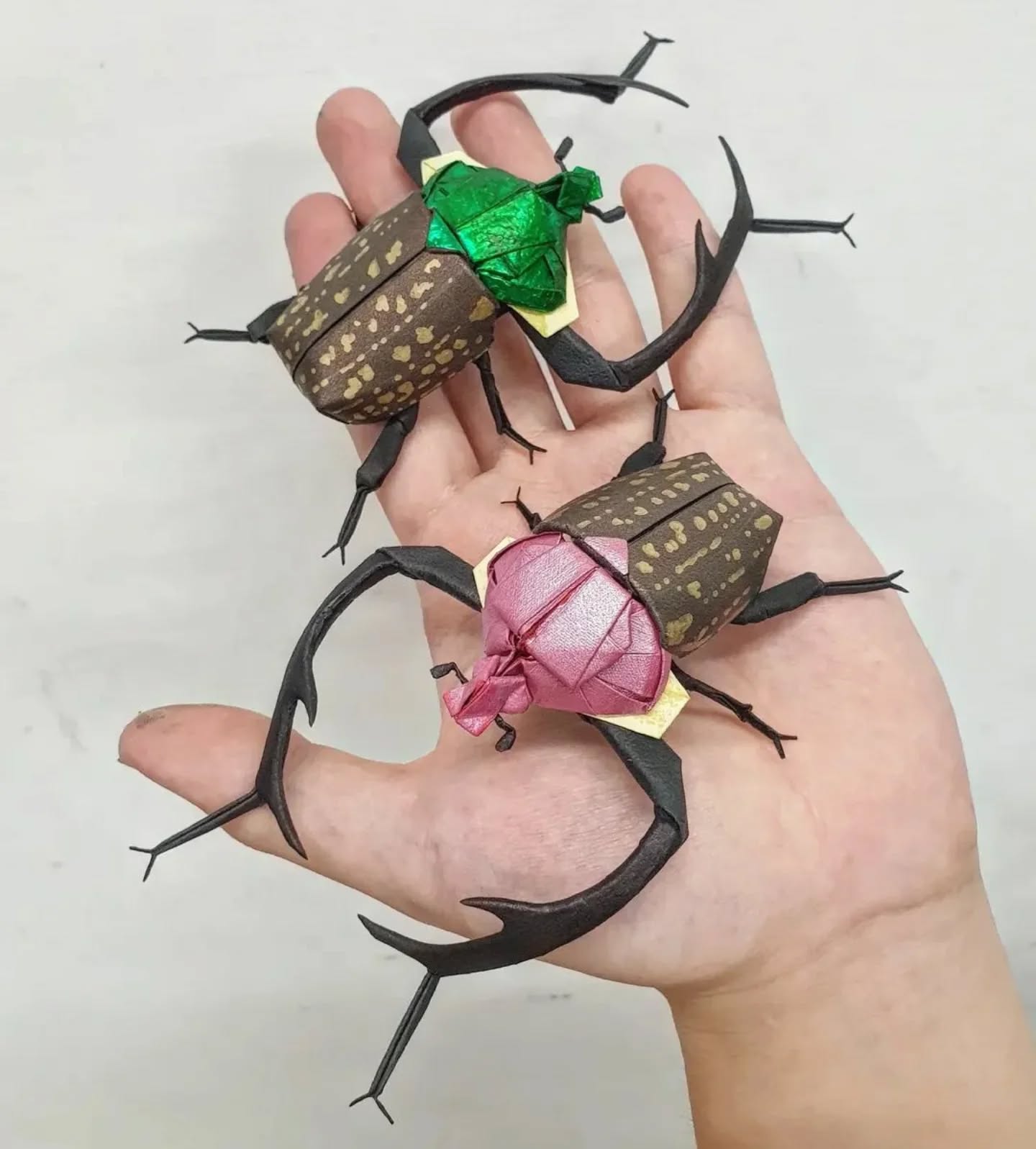 米象國際 — 台灣長臂金龜(摺紙)